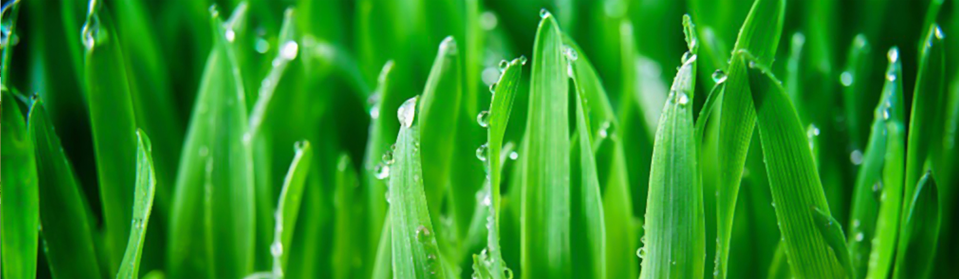 Xinghua Jiahe Foods Co., Ltd